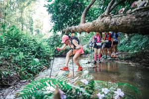 BIB: 
                            <button type="button" onclick="openModal(25454020)" class="btn btn-primary btn-sm float-right btn-popup" data-toggle="modal" data-target=".modal-high-quality">
                        <i class="fas fa-shopping-cart"></i> Add to Cart
                    </button>
                                            <button type="button" onclick="isThisMe(25454020, true)" class="btn btn-success btn-sm float-right btn-popup btn-isme hidden" data-toggle="tooltip" data-placement="bottom" title="นี่คือรูปของคุณใช่ไหม คลิกที่นี่เพื่อเอาเข้าอัลบั้ม">
                        <i class="fas fa-plus"></i> Add to album
                    </button>
                    <button type="button" onclick="isThisMe(25454020, false)" class="btn btn-warning btn-sm float-right btn-popup btn-isnotme hidden">
                        <i class="fas fa-ban"></i> Remove from album
                    </button>